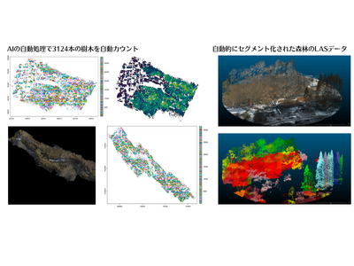 APEX株式会社、ドローンやVTOLで取得した森林のデータ（写真、点群）を自動判読するAI機能の開発に成功