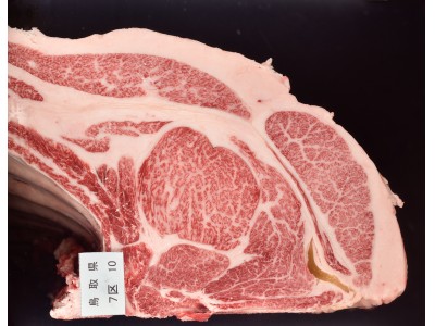 和牛の全国大会に出品し、肉質日本一に輝いたプレミアム鳥取和牛を限定販売！　肉質日本一！「鳥取和牛記念販売」開催