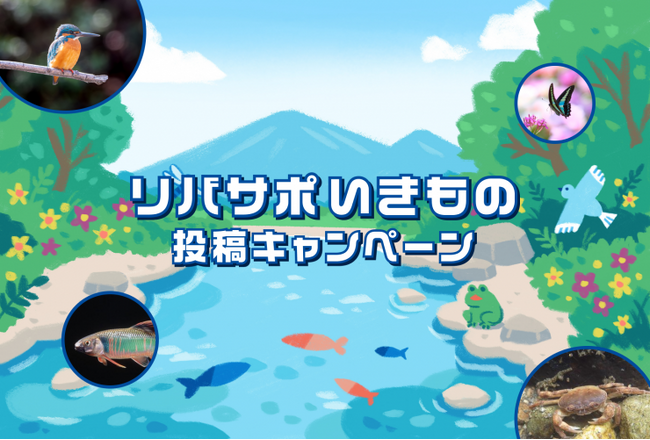 【埼玉県】リバサポいきもの投稿キャンペーンを実施します―夏は川で生き物を見つけて投稿！プレゼントをもらおう―
