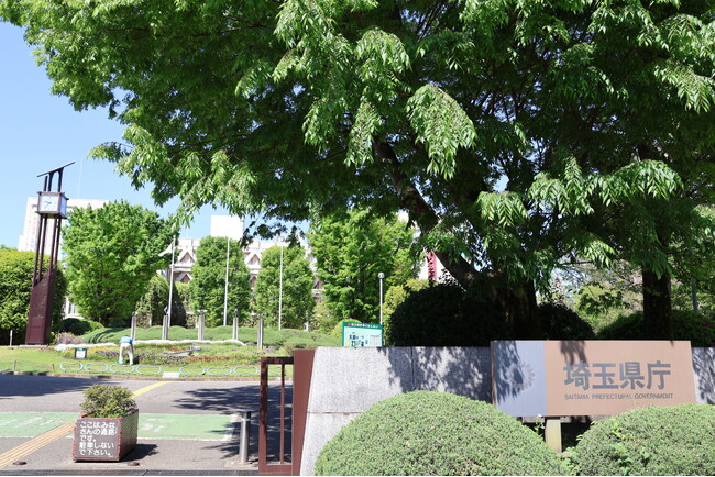 【埼玉県】看護のお仕事体験教室を開催しています