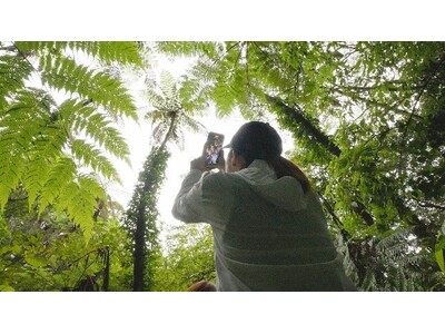 世界自然遺産登録5周年に向け奄美大島、徳之島、沖縄島北部、西表島のPR動画を公開(二次利用可)