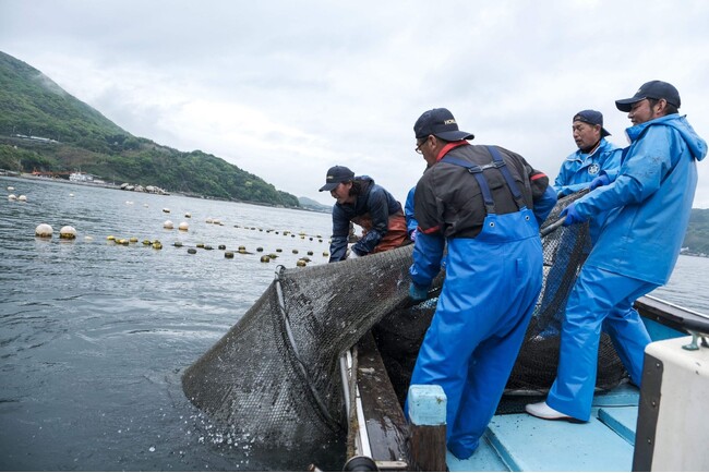 山口県室津で新たな「サステナブル漁業プロジェクト」発足　「定置網自主的資源管理×藻場保全」で未来を拓け