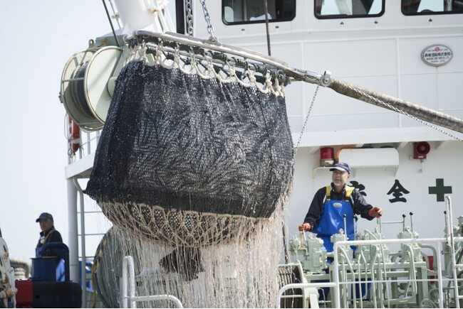 【国内初】太平洋マイワシ由来の魚油で世界基準「Friend of the Sea」認証を取得！