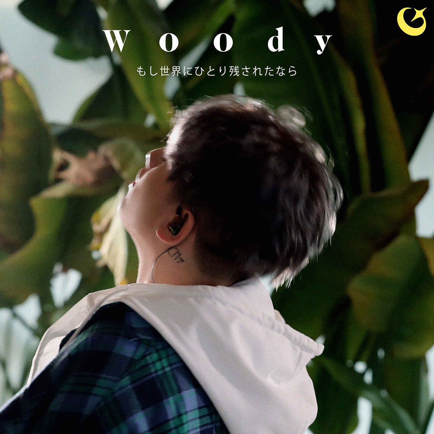 韓国配信チャートを席捲した　感性のシンガーソングライター　ウッディ (Woody)6/25初・日本語歌詞「もし世界にひとり残されたなら」日本デビューシングル、いよいよ　配信スタート!!