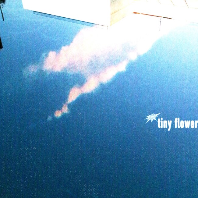 【HIKAGE】80～90s’ニューウェイブとハードコアが融合。4月1日（水）リリースのEP『human.』より、リード曲「tiny flower」を3月18日（水）に先行配信決定！