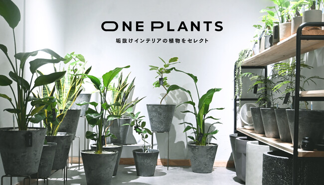 駿東郡清水町に“そのまま飾れる”観葉植物を提供する、無人の観葉植物ショップ（ONE PLANTS）が4/19（土）にNEWオープン！