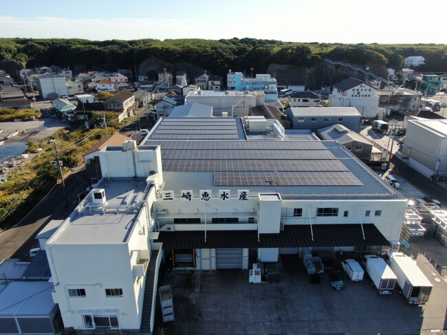 《本社工場に580枚の太陽光パネル設置》海とまぐろを守る、サステナブルなまぐろ問屋へ
