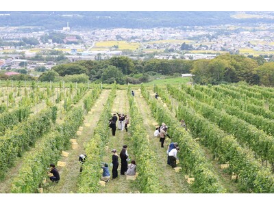 長野県東御市で夢活PBL「東御市の一員になろうプロジェクト」を実施(通信制ID学園高校)