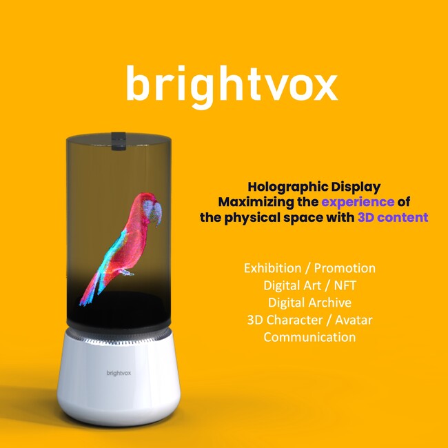 brightvoxA WԉoRDTCl[WT[rXR萳WJEAI-3DRecɑΉ