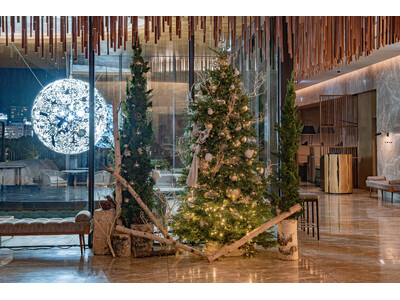 TIAD, AUTOGRAPH COLLECTION 2025クリスマスツリー＆ケーキのご案内