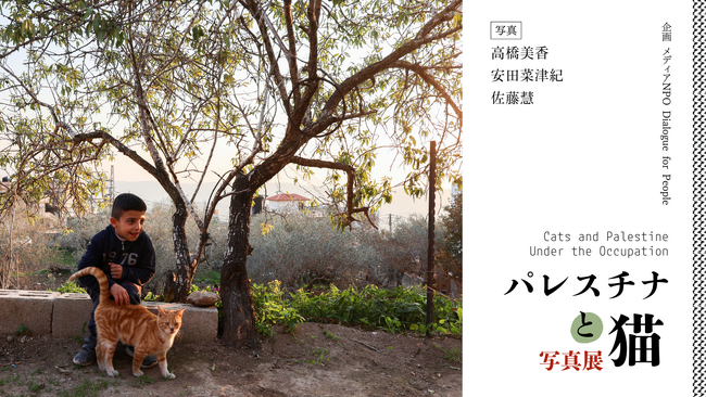 プレスリリース「【「パレスチナと猫」写真展・開催のお知らせ】『パレスチナの猫』に続く第２弾ー10/8～キャッツミャウブックス（東京）にて開催決定！」のイメージ画像