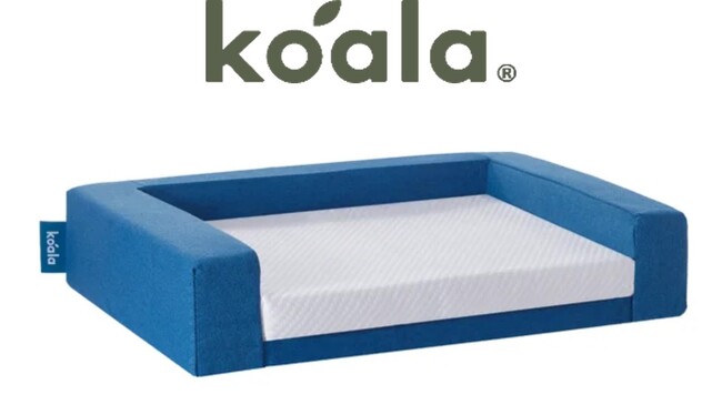 6月7日発売　返品マットレスから生まれた　新製品「コアラペットベッド　KUDDLE」をサイクラーズ株式会社がデザイン・プロデュース