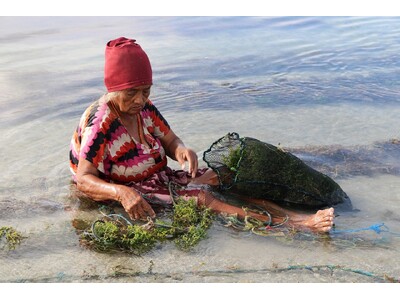 �J��������c���ꂽ�C���h�l�V�A�̗����h�X���o���h�ŊC������Ă�l�������Љ�铮������J