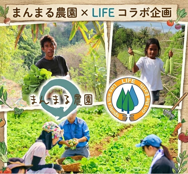 【9月30日まで】まんまる農園「お米と旬野菜の定期便」× LIFE「ひまわり募金」
