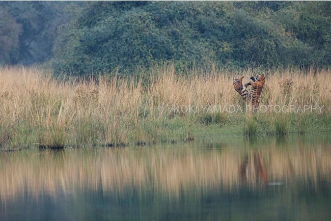 iViWIOtBbNʐ^܍ŗDG܂̎ʐ^Ƃ`Aʐ^̐ɂ