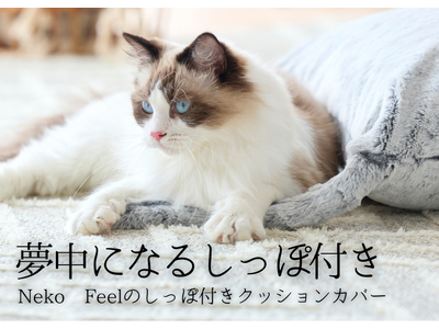 最速4分で完売したニッセン「猫Feel」に15番目の新作が登場！いつものクッションが、猫に早変わりできる『しっぽ付きクッションカバー』を3月8日（金）10時から販売します。