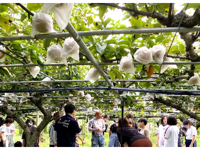 鳴門の新たな名産品をめざして地元の子ども達が開発！プレゼン大会！