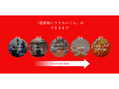 北海道白糠町の人気返礼品「シラリカいくら」に、希少な「超新物」が登場！