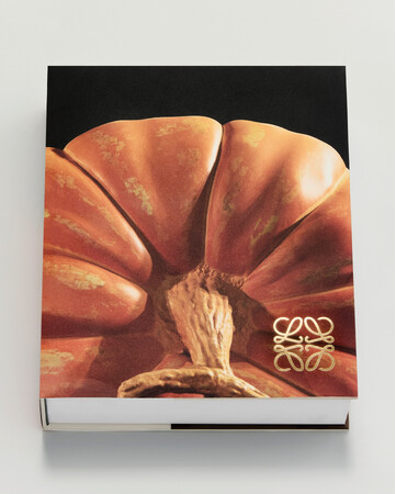 プレスリリース「【ロエベ】ジョナサン・アンダーソンの10年間を収めた大判モノグラフ『Crafted World: Jonathan Anderson’s LOEWE』が発売」のイメージ画像