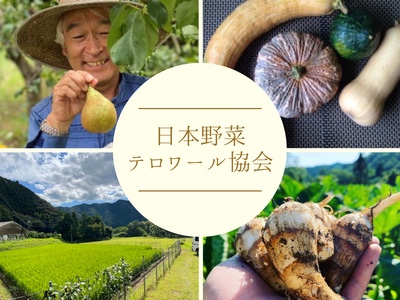 8/31野菜の日　サステナブル な土地と野菜を目指して。一般社団法人日本野菜テロワール協会が誕生！