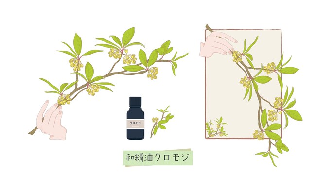 【本格よもぎ蒸しサロンaUN】東京・滋賀で人気上昇中の「クロモジ」新メニューを2026年7月より名古屋本山店でも提供開始！