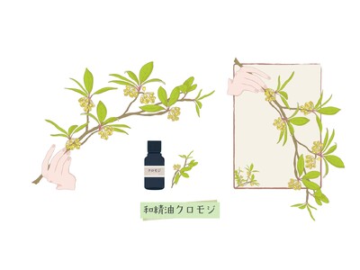 【本格よもぎ蒸しサロンaUN】東京・滋賀で人気上昇中の「クロモジ」新メニューを2026年7月より名古屋本山店でも提供開始！
