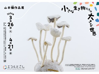 ＜「ウッドデザイン賞2023」を受賞した心地よい木の空間で、生き物・自然を知る。＞山本彌作品展「小さな生...