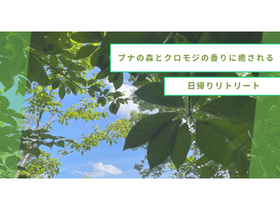 【山形・小国町】ブナの森とクロモジの香りに癒される日帰りリトリートを開催