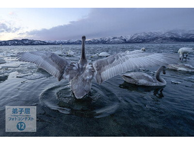 【北海道・弟子屈】冬のシーズン到来！ お得な摩周・屈斜路周遊バスきっぷの販売と、弟子屈フォトコンテストは12月25日まで。