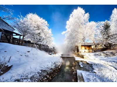 【北海道・弟子屈町】冬の澄んだ景色と温泉！期間限定周遊バスと手荷物配送サービスで、手ぶらでらくらく観光を...