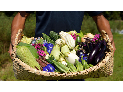 【沖縄／ジ・アッタテラス クラブタワーズ】ホテル自家農園の野菜やハーブを味わう『テラスの収穫祭』を開催 ...