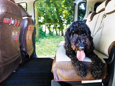 【軽自動車/コンパクトカー/ミニバンにも対応】愛犬やキッズとのお出かけにピッタリの”汚れ”や