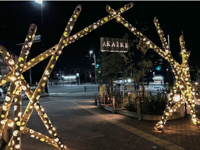 地域資産の竹で楽しむ市民の祭典　赤池まち灯り２０２２開催