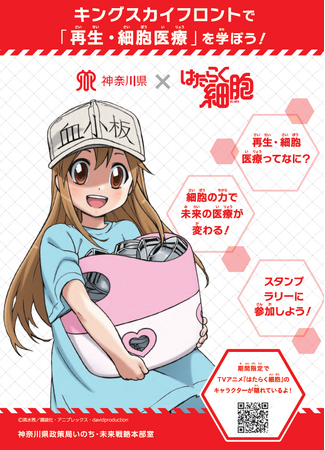 大人気アニメ『はたらく細胞』とコラボした「再生・細胞医療」の取組を紹介！