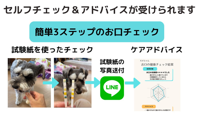かながわベンチャー限定クラウドファンディング「かなエール」で支援を行います