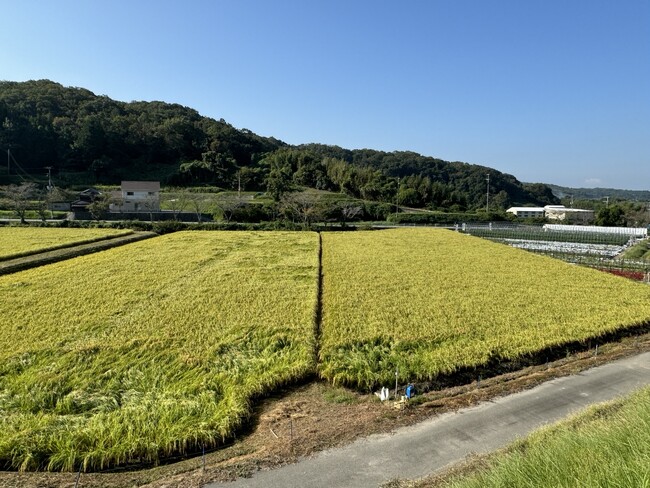 【猛暑による水稲の高温障害に備えて】農機具王 アグリスイッチが、“高温障害対策”の相談受付を強化中!