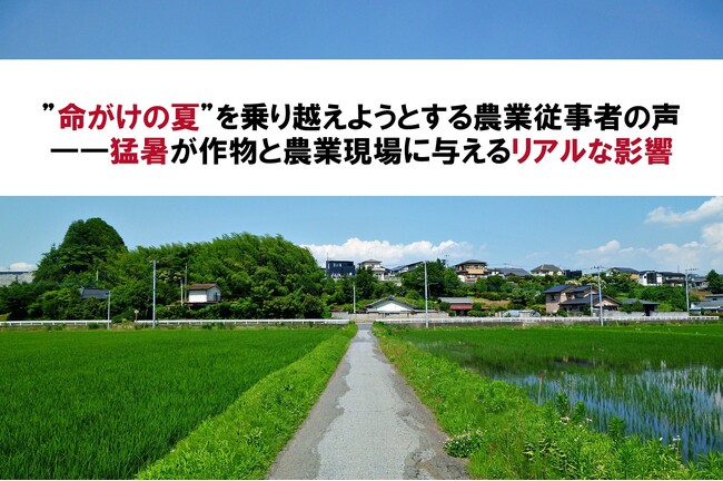 【農機具王】”命がけの夏”を乗り越えようとする農業従事者の声――猛暑が作物と農業現場に与えるリアルな影響とは