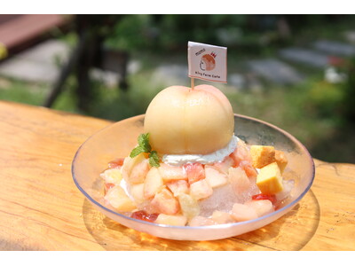 まるごと１玉の桃がどーん！たっぷり３玉分使用した贅沢かき氷「もももももものかき氷」7/18より販売【KingFarmCafe】