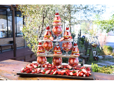 正月明けの初営業日から提供開始！自社農園の完熟いちごを最大６個盛り「べりーちゃんのいちごタワーパフェ」登場！