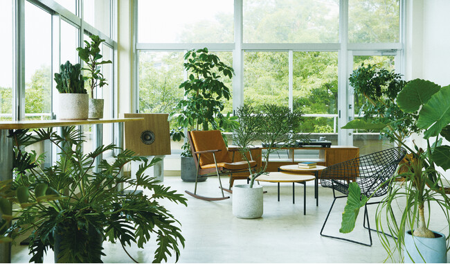 ELD INTERIOR PRODUCTS 東京が 2025年9月5日、日本橋人形町へ移転オープン。