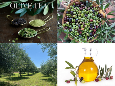 100％群馬県・有機JAS認証農場産のオリーブティーを試飲展示　ジャングルデリバリー、「FOODEX J...