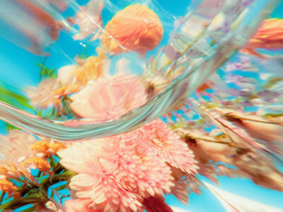 2025�N11���x�_�E�����[�h�F��`Mrs. GREEN APPLE�u�P�Z���Z���v���v���`�i�F��I