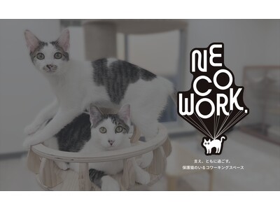 保護猫活動に貢献できるコワーキングスペース「NE COWORK.」が11月1日渋谷にプレオープン！クラファンも開始予定