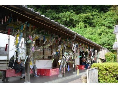 「柏屋のたなばた夕涼み」を開催します