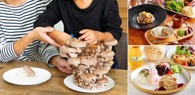 親子カフェの店内でしいたけ収穫体験と限定きのこメニューを楽しめるコラボレーションイベントを創業86年のきのこ種菌メーカーが10月15日(土)より開催