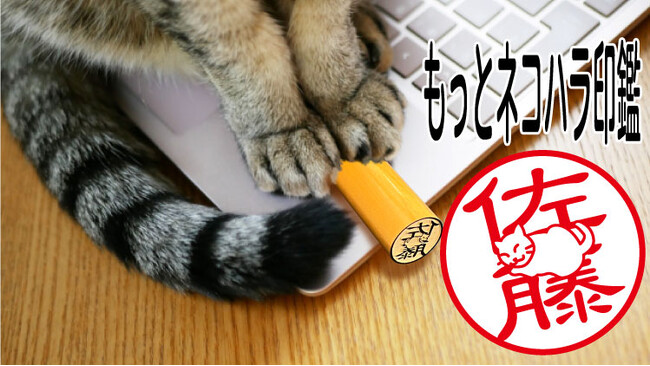 ハンコの常識を覆し、猫が名前の邪魔をする姿を再現した「もっとネコハラ印鑑」5/15より応援購入サービス「Makuake」で先行割引発売