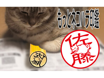 印鑑の常識を覆すことでクラウドファンディングで話題となった「もっとネコハラ印鑑」が9月15日より正式発売開始名前を隠すように箱座りした猫のデザインが20品種に大幅拡充