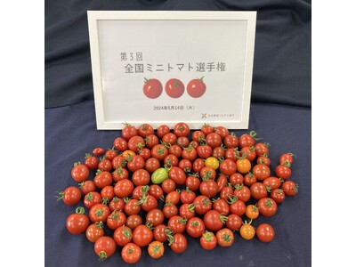 ≪第3回全国ミニトマト選手権≫長野県「クラシックトマト『ショパン』／SKファーム」が最高金賞を受賞！クラ...
