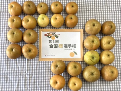 「第3回 全国梨選手権」埼玉県久喜市「彩玉梨　糖度保証付／梨の大澤農園」が最高金賞を獲得！