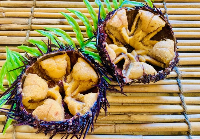 この夏限定！極上の“生ウニ”が主役！「ウニ奉行 2025」in太田市で開催決定！